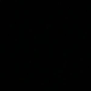 Meet your Posher, Kendall